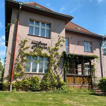Villa Stara Apteka Сребрна-Ґура Екстер'єр фото